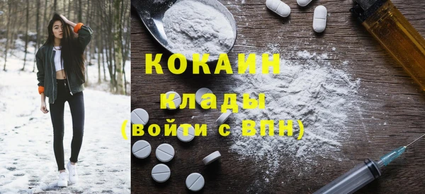 прущие грибы Белокуриха