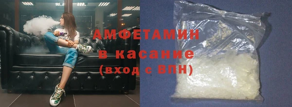 прущие грибы Белокуриха