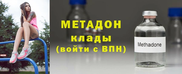прущие грибы Белокуриха