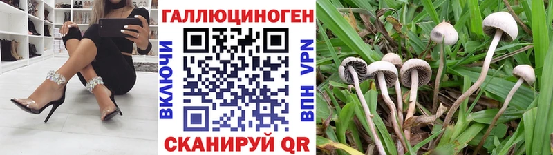 Псилоцибиновые грибы Magic Shrooms  KRAKEN вход  Кисловодск 